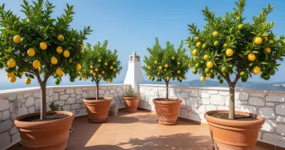 8 arbres fruitiers que vous pouvez faire pousser dans des pots – Jardins et potagers pour votre balcon