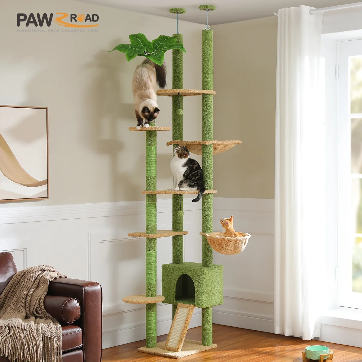 Arbre à chat cactus du sol au plafond