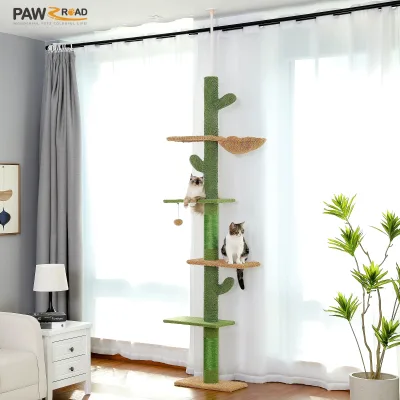 Arbre à chat vert du sol au plafond