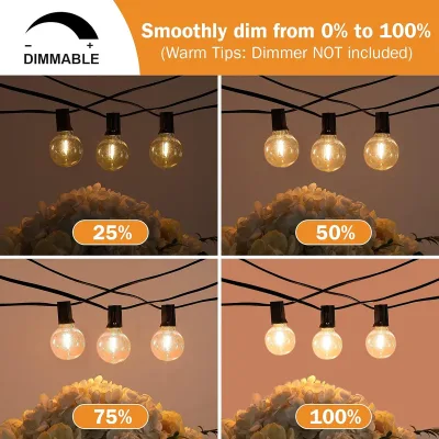 Guirlande lumineuse d'extérieur à globes LED – image 3