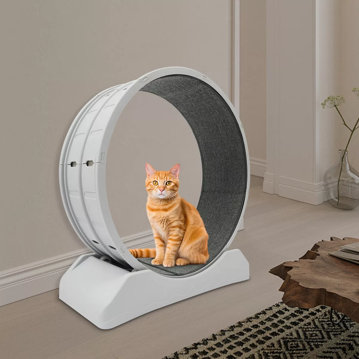 Roue de course grise pour chat, silencieuse