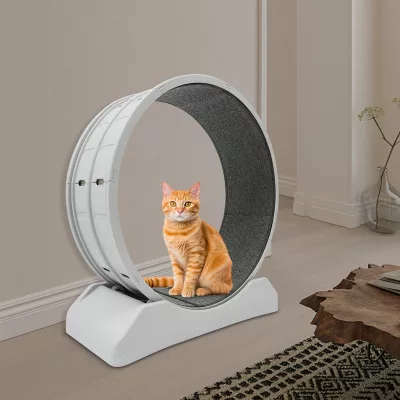 Roue de course grise pour chat, silencieuse