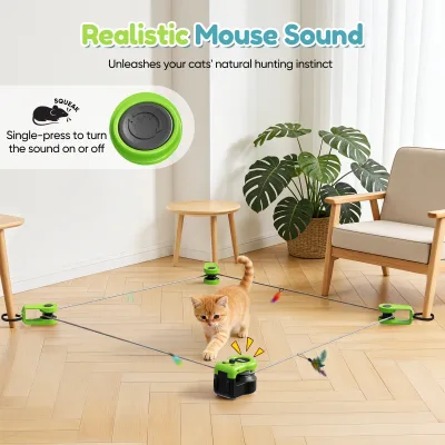 Roue de course rechargeable pour chat – image 2