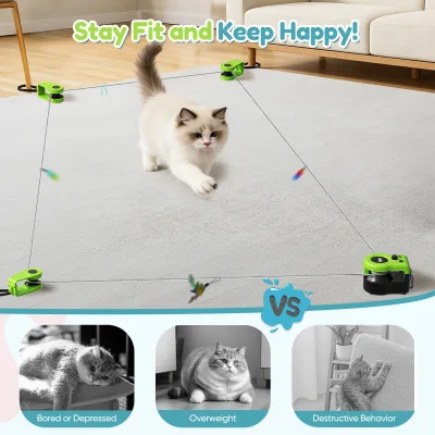 Roue de course rechargeable pour chat – image 3
